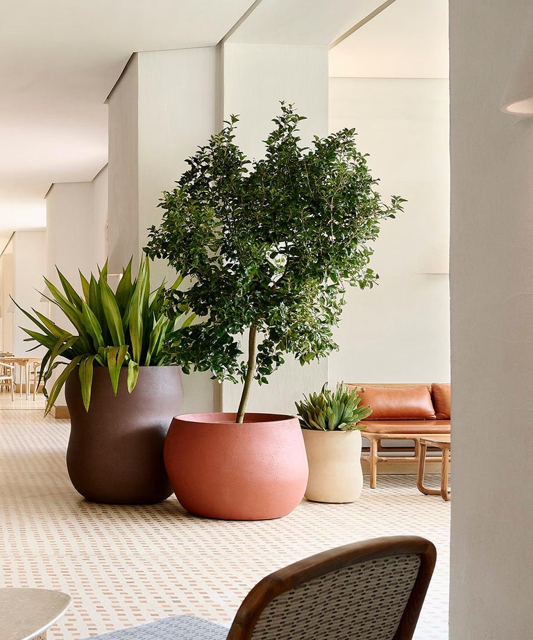 Pebble Tall Terracotta Planter by Indigenus For Sale at 1stDibs