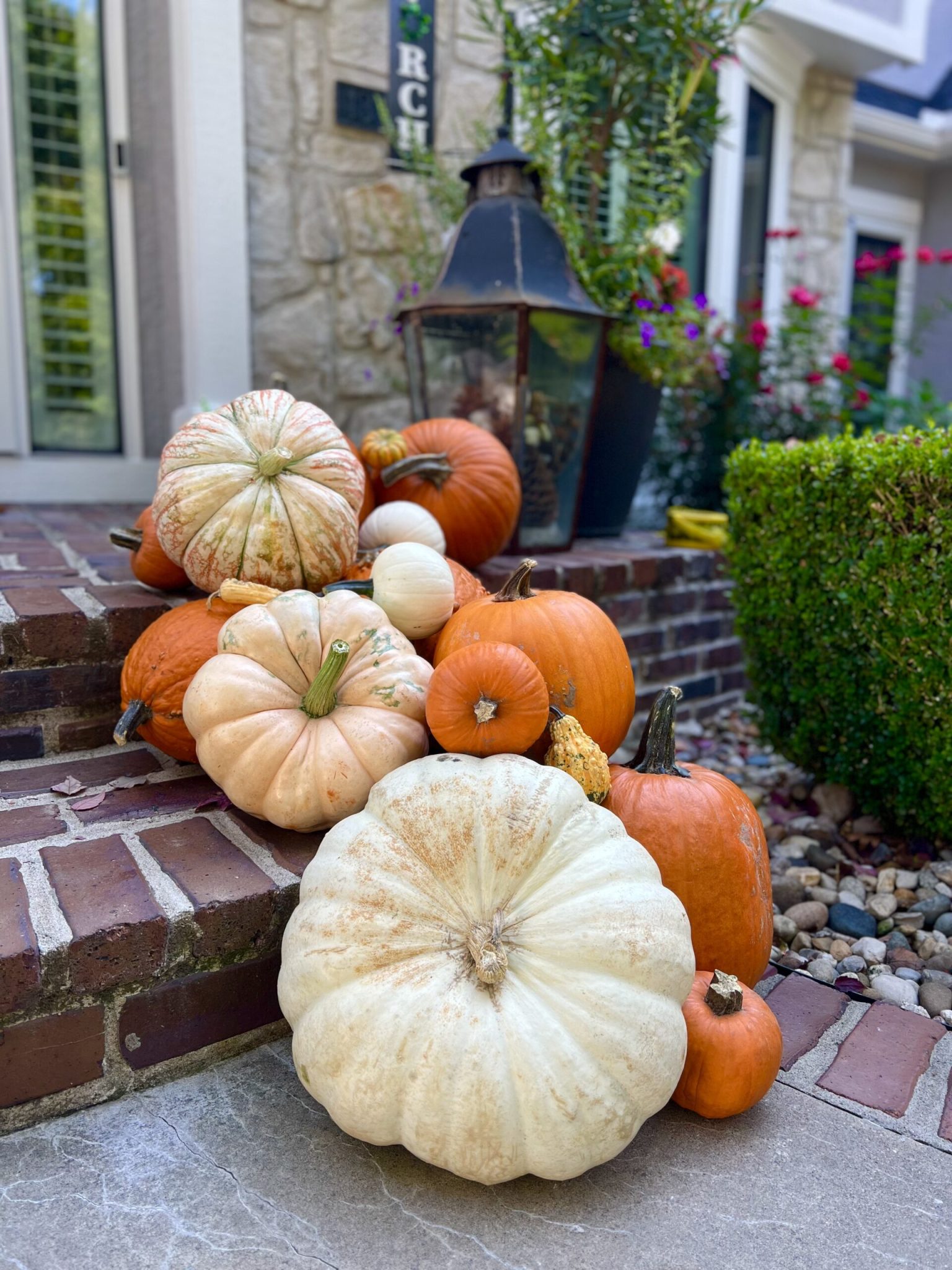 Perfect Harvest