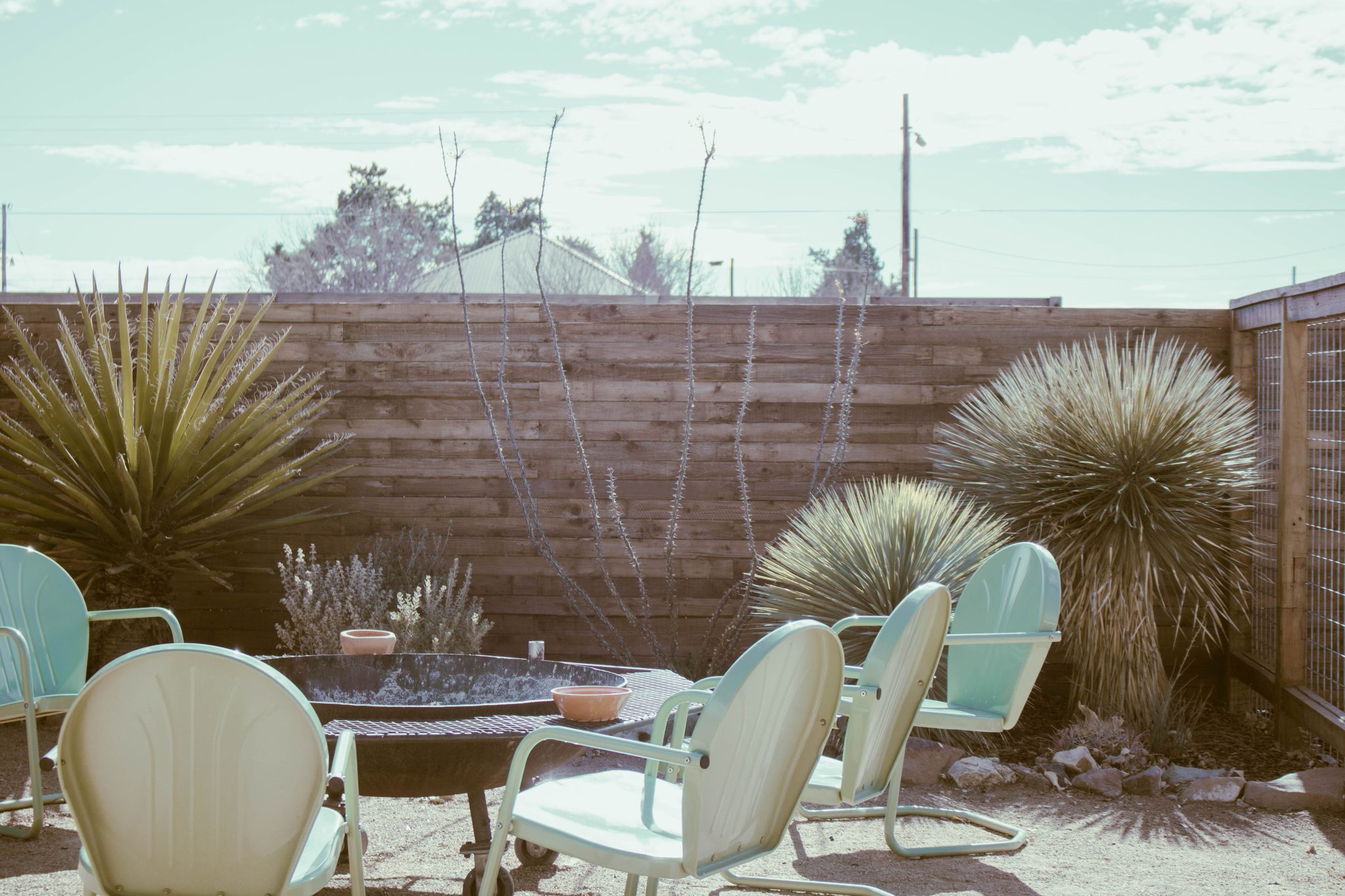 Relaxing backyard view in Marfa, TX with vintage chairs, desert plants, and rustic fence.