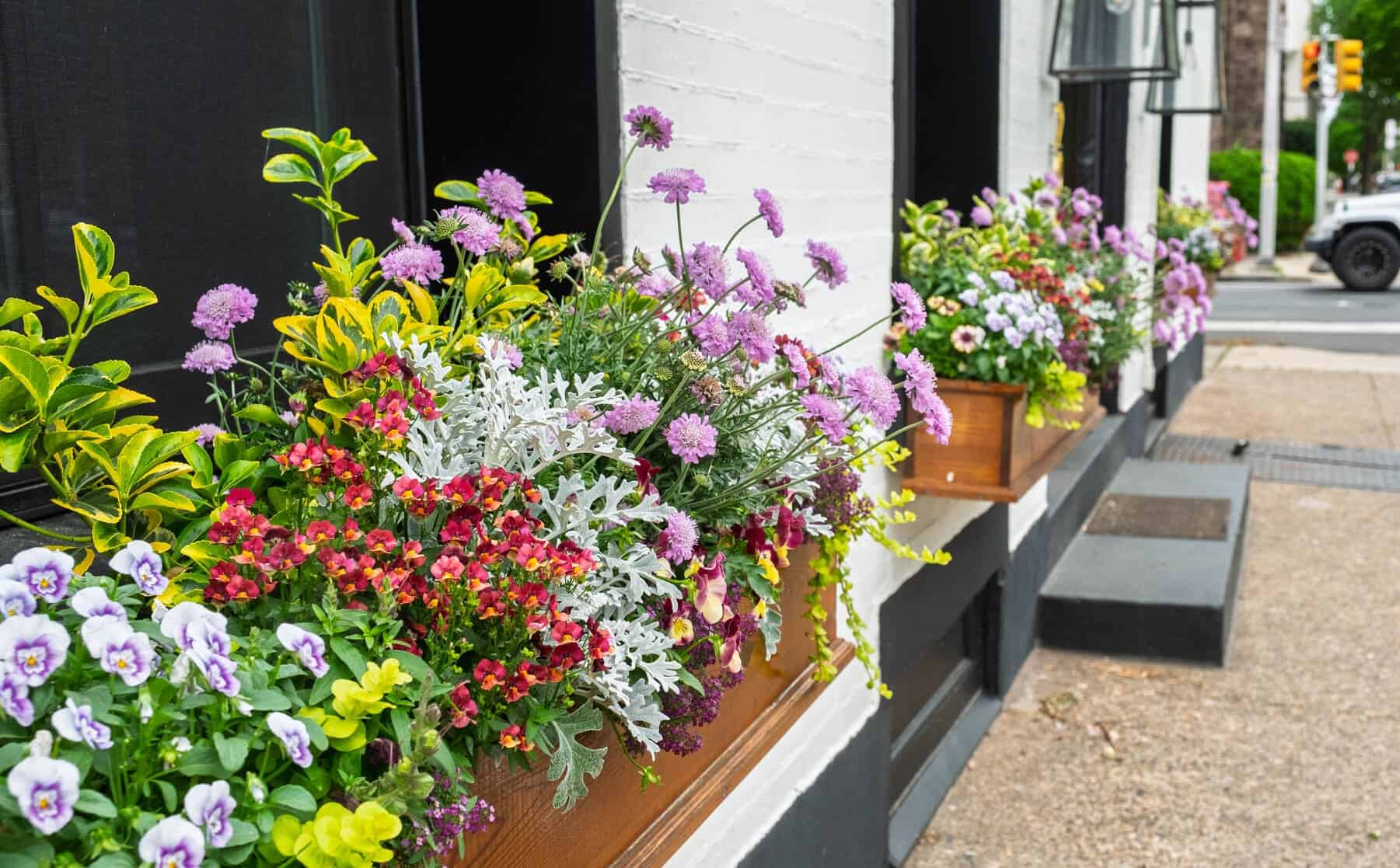 Residential Planter | Subscription Window Box | Enliven Planters
