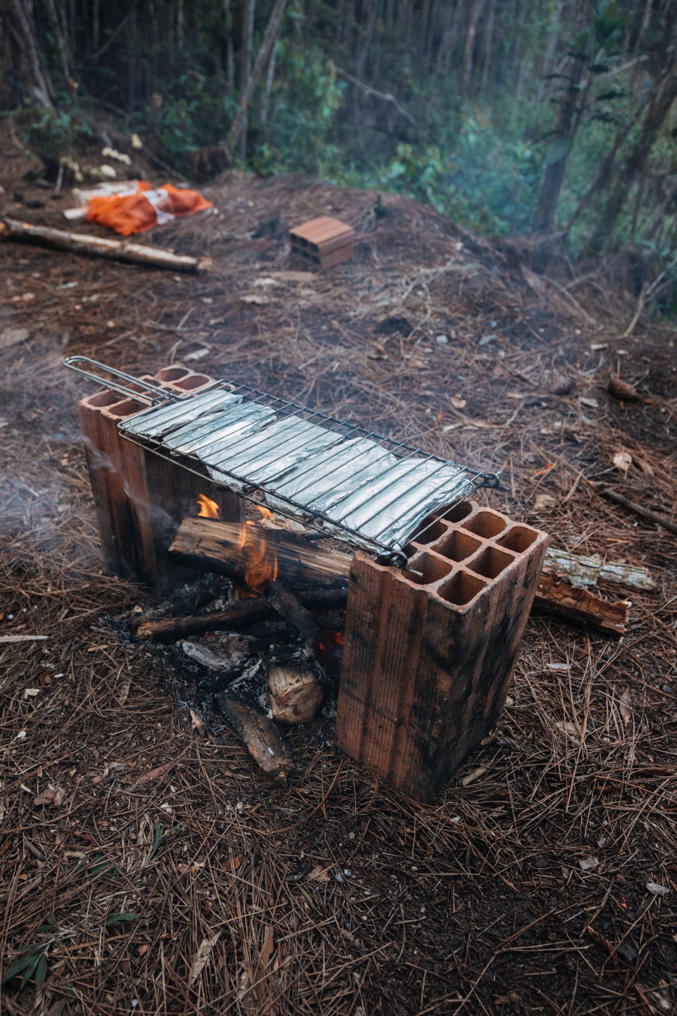 Rustic campfire grill arrangement using cinder blocks in a forest setting with pine needles.
