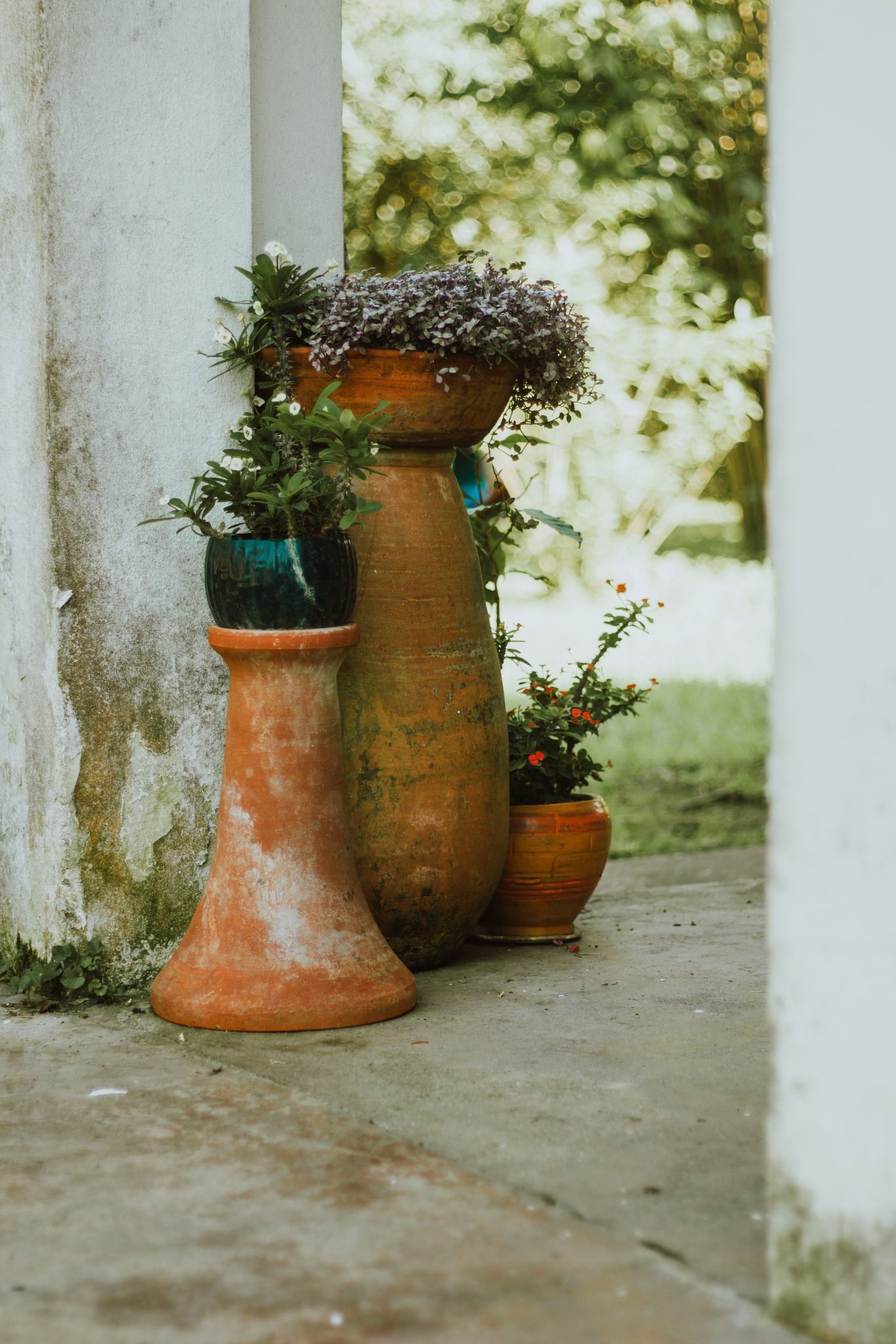 Rustic clay pots with plants in a serene outdoor setting, evoking a natural, earthy feel.