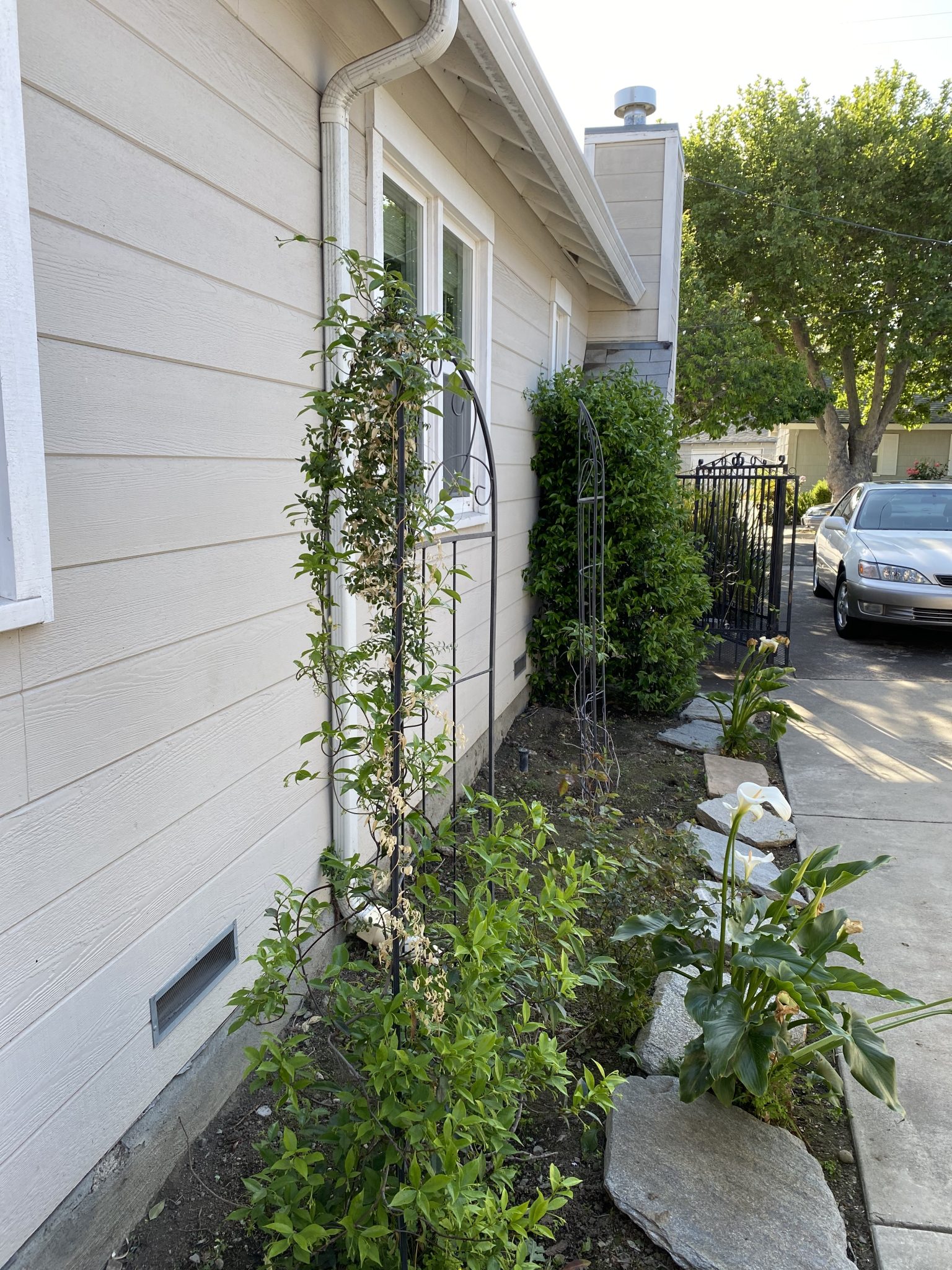 Side Yard Entrance – Andy Cheng