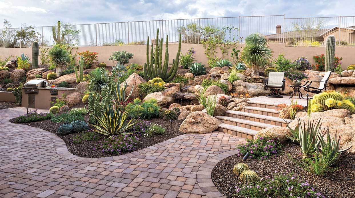 Small Space, Big Impact: Suburban Backyard Transformed Into Desert Oasis With View - Phoenix Home & Garden