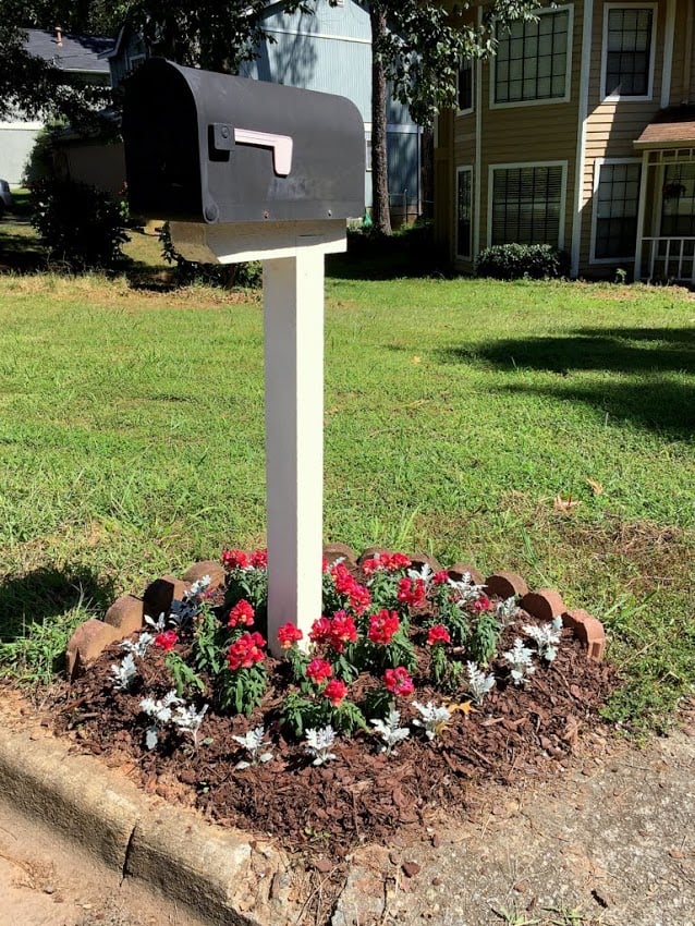 Snapdragons at the Mailbox • Ugly Duckling House