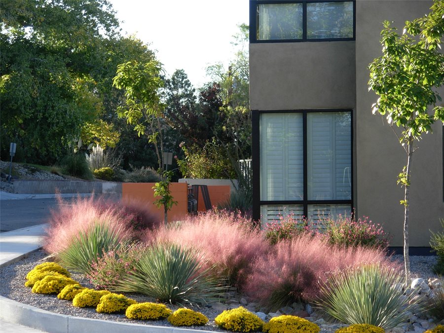 Southwest Garden Design - Landscaping Network