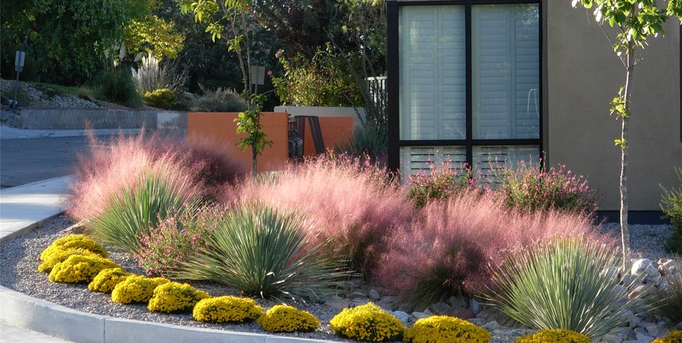 Southwest Garden Design - Landscaping Network