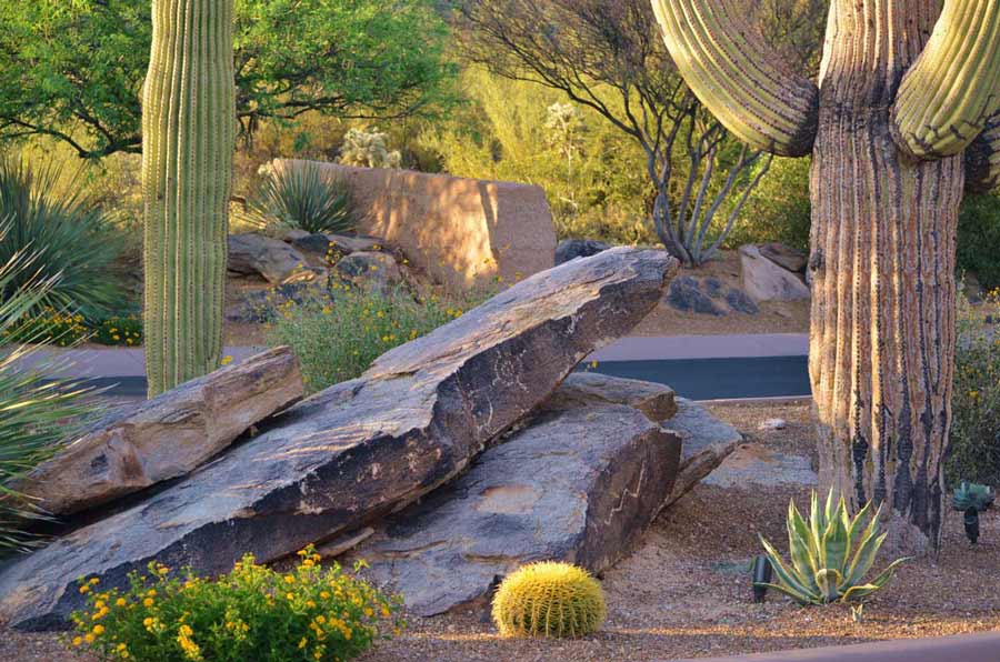 Southwest Landscape Materials to Elevate Your Tucson Property