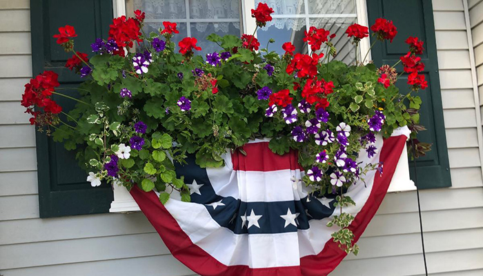 Spring Window Box Ideas | 10 Best Spring Window Box Flowers