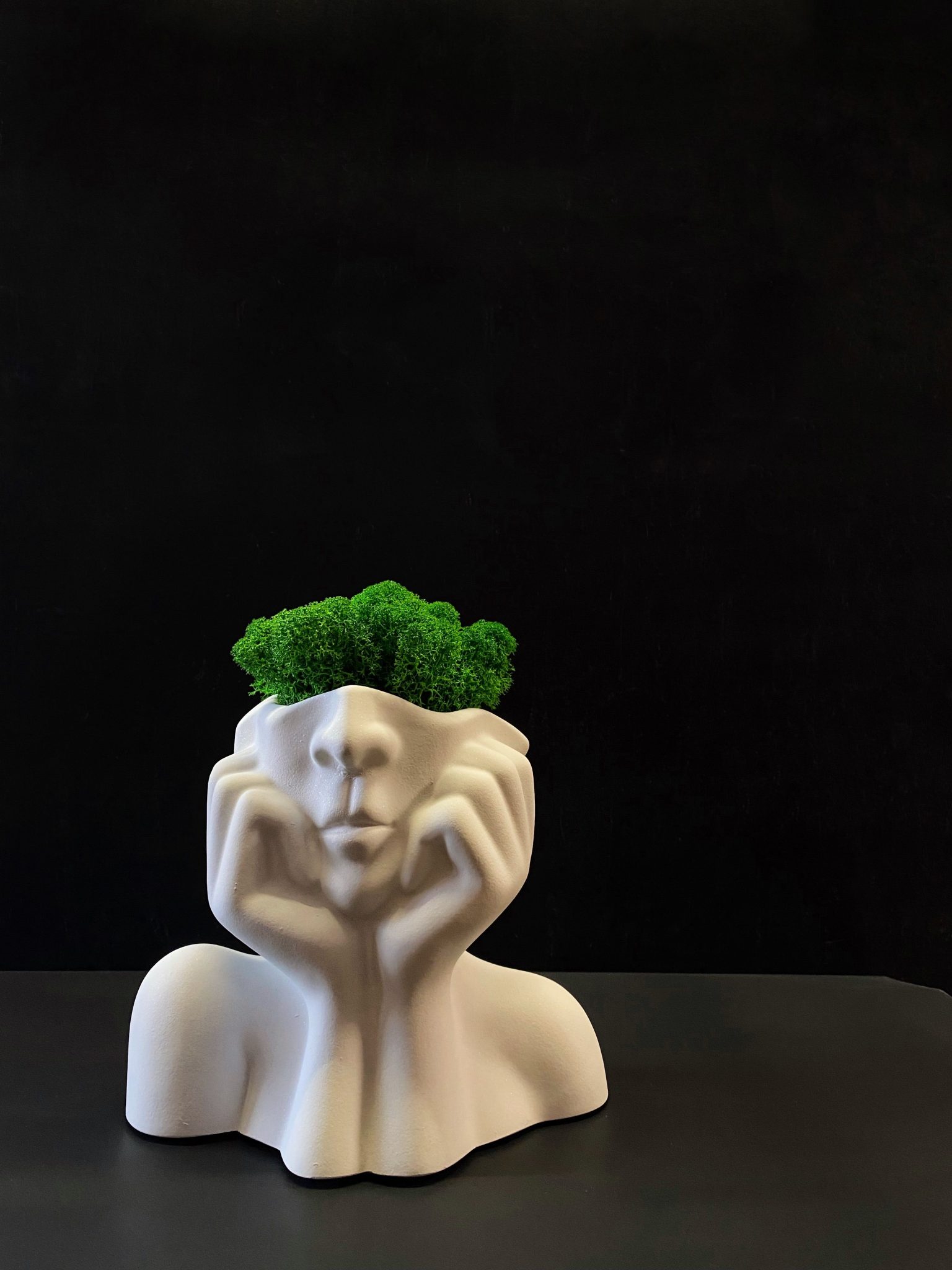 Stylish abstract ceramic face planter with vibrant green plant against a dark background, perfect for interior decor.