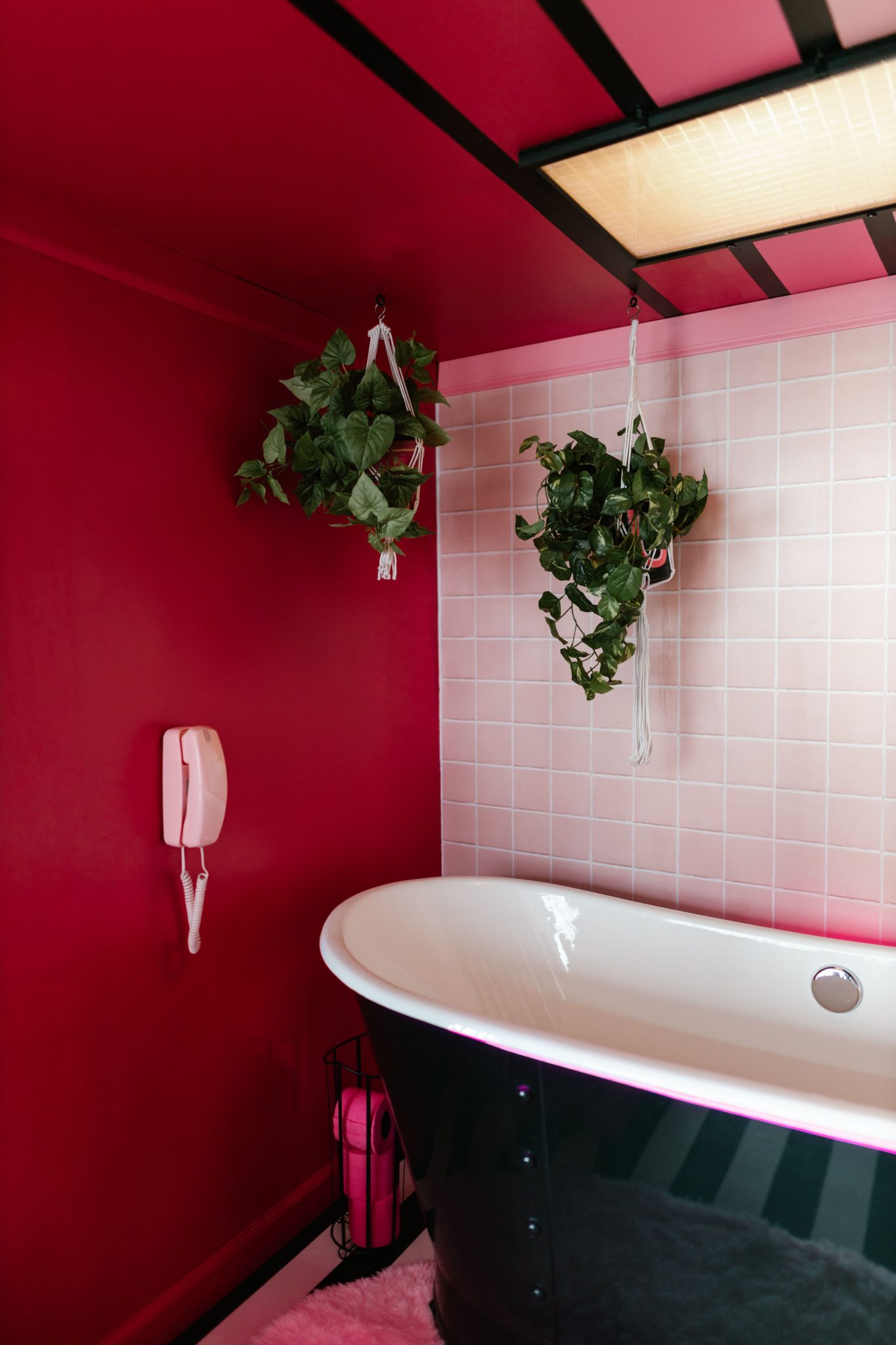 Stylish bathroom with vibrant pink walls, black bathtub, and hanging plants.