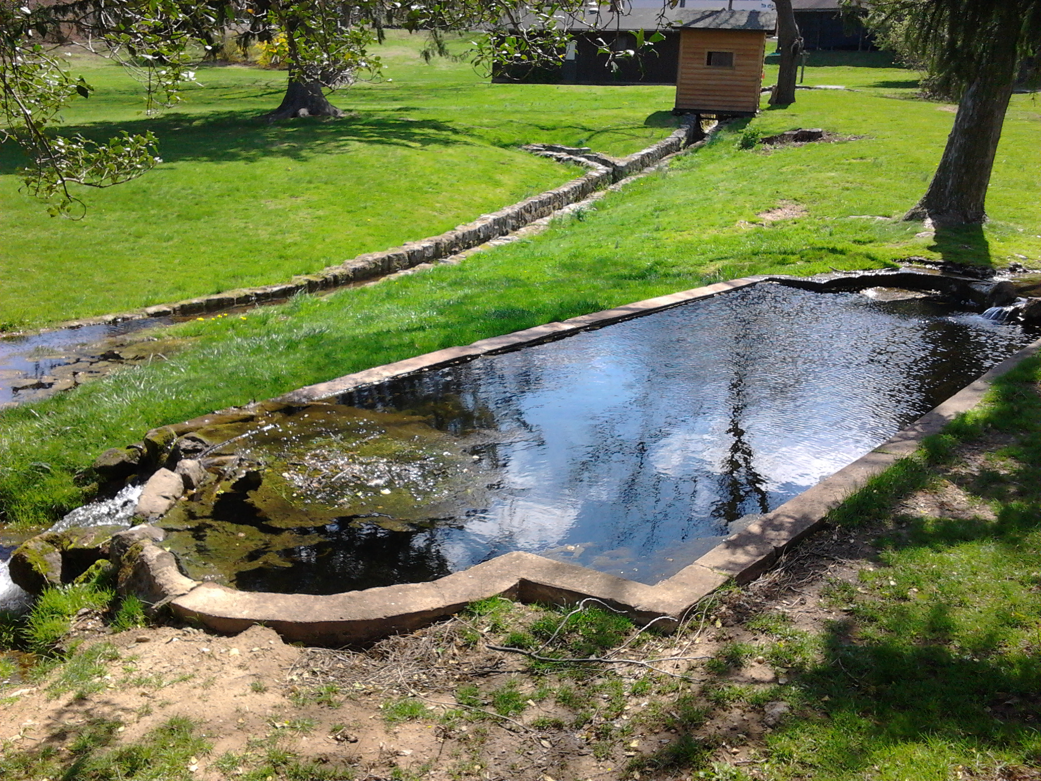 The Duck Pond | High Point Camp