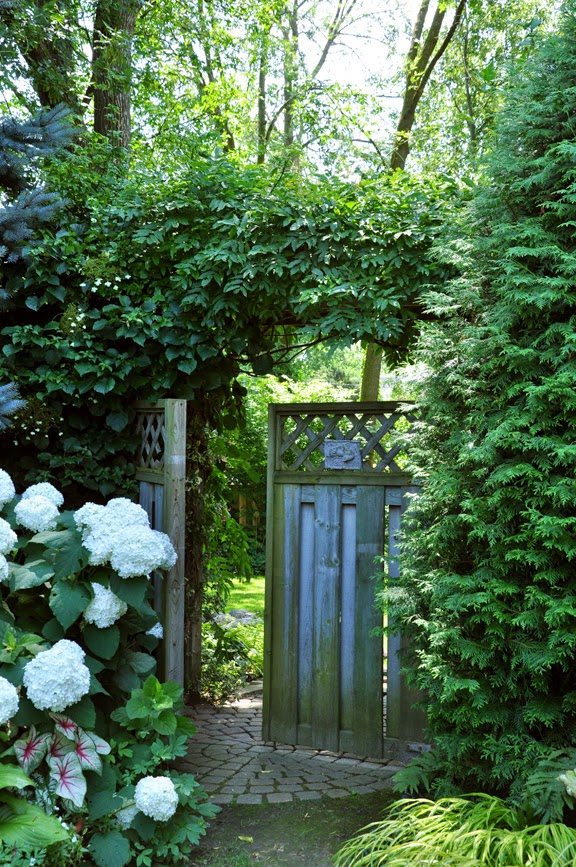Three Dogs in a Garden: More Ideas for the Narrow Space Between Suburban Homes