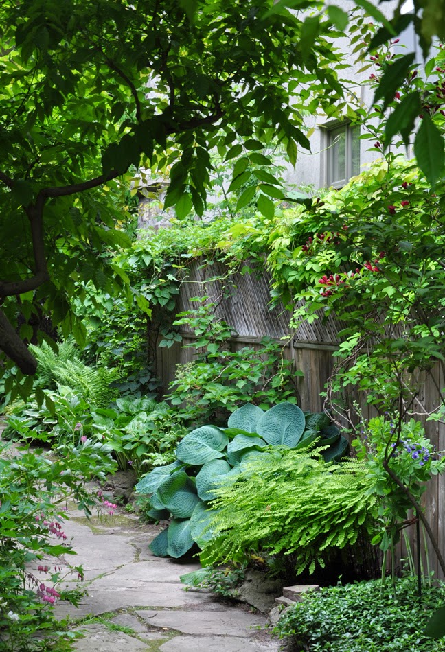 Three Dogs in a Garden: More Ideas for the Narrow Space Between Suburban Homes