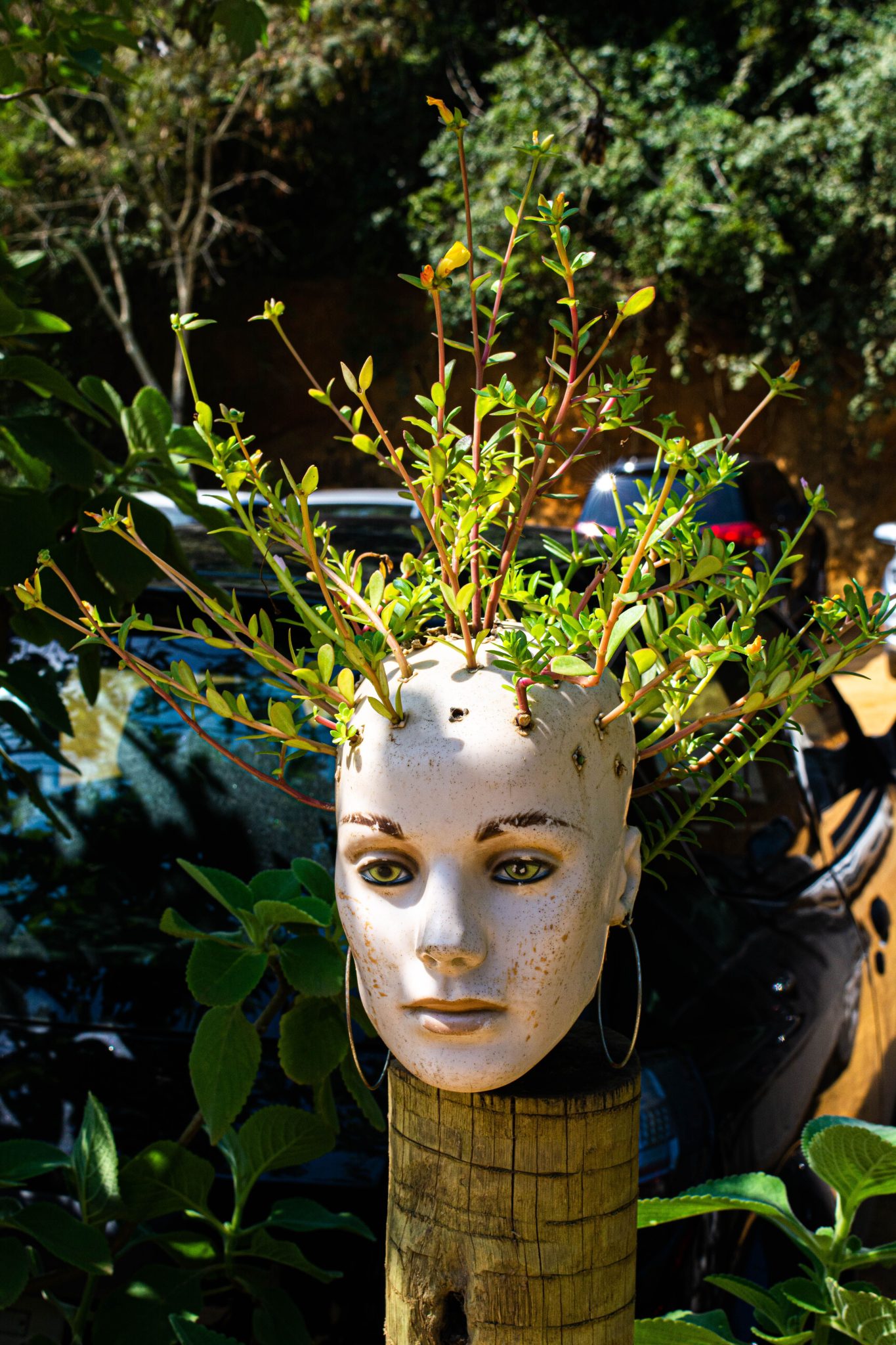 Unique head planter with greenery, adding artistic flair to an outdoor garden space.