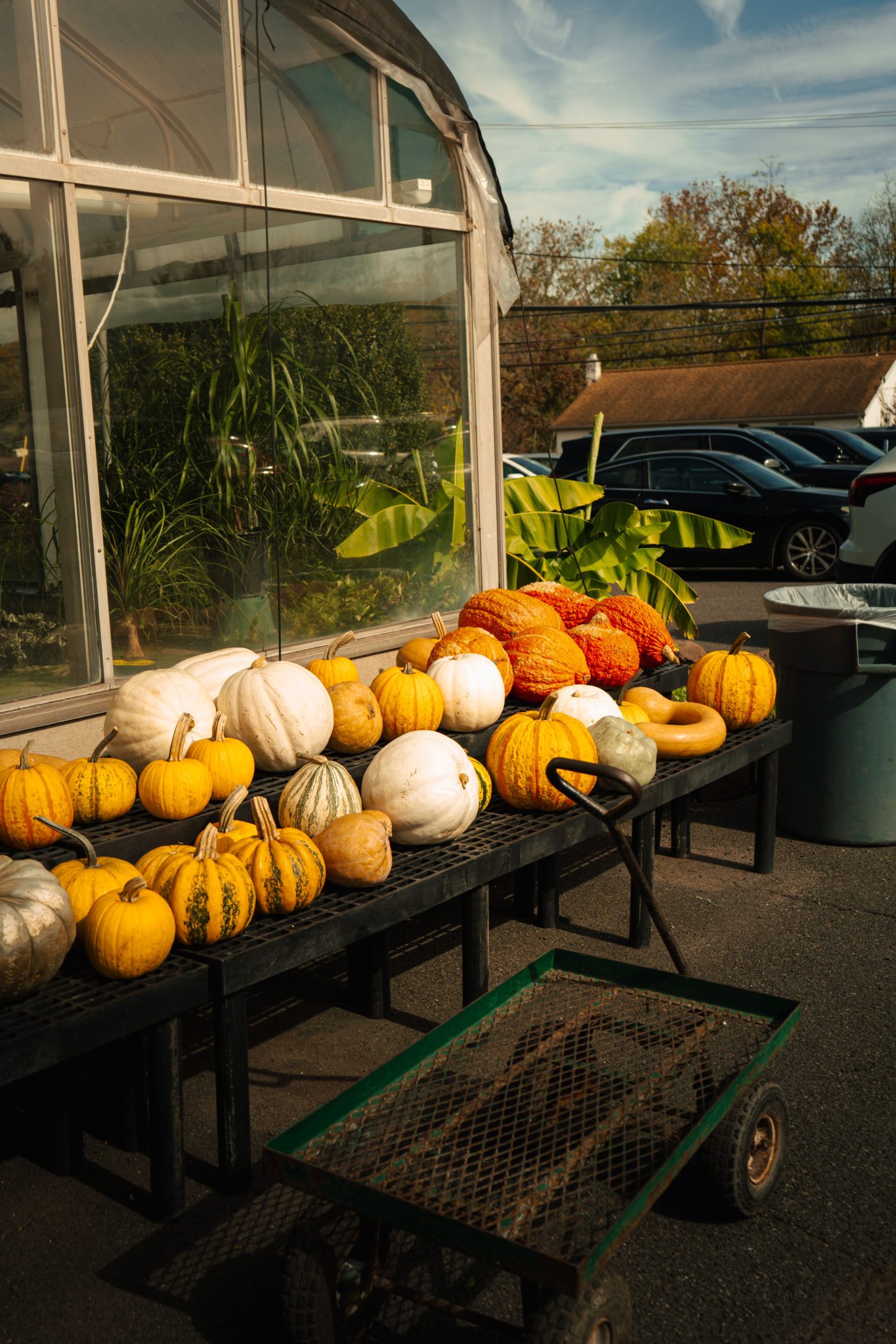 Variety of pumpkins on display outside a greenhouse during fall.