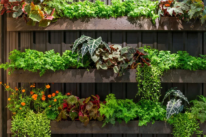 Vertical Gardens — Kentucky Ready Set Grow