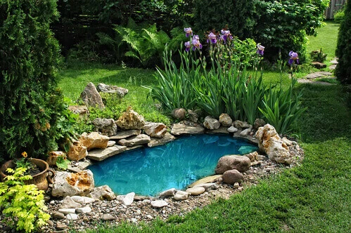 Water Garden Construction in NJ, PA & TN | Fitz's Fish Ponds