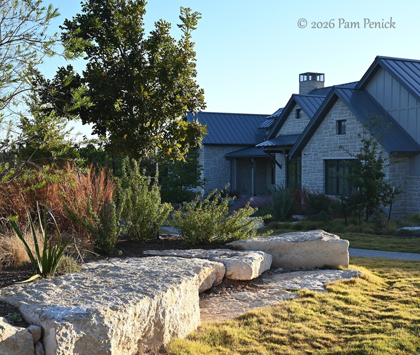 Waterwise Austin garden alight with grasses - Digging
