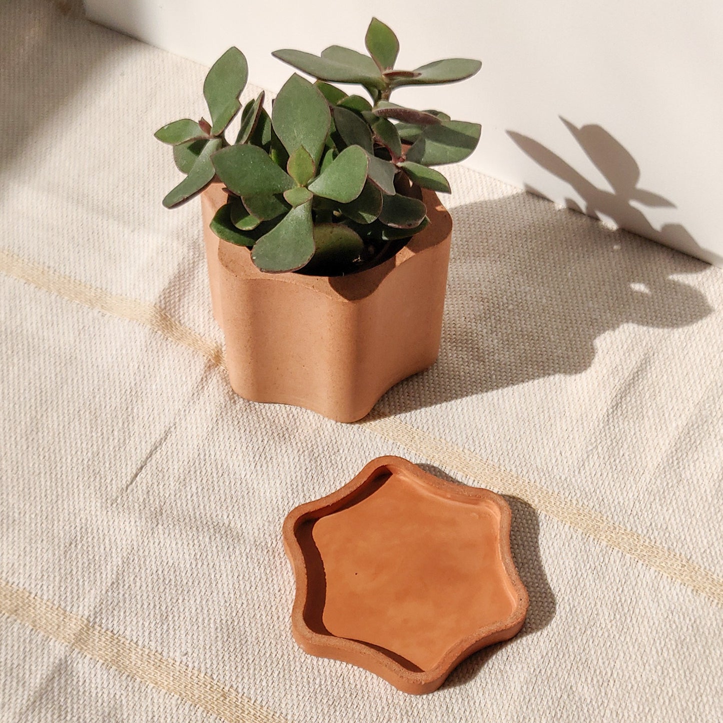 Wavy Terracotta Planter Wavy Flower Plant Pot With Drainage Hole And Water Tray Home Garden Accessories Designed By Moonkind Studios UK