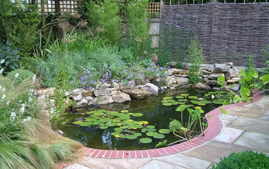 Wildlife Friendly Pond Design & Installation - Go Wild Landscapes