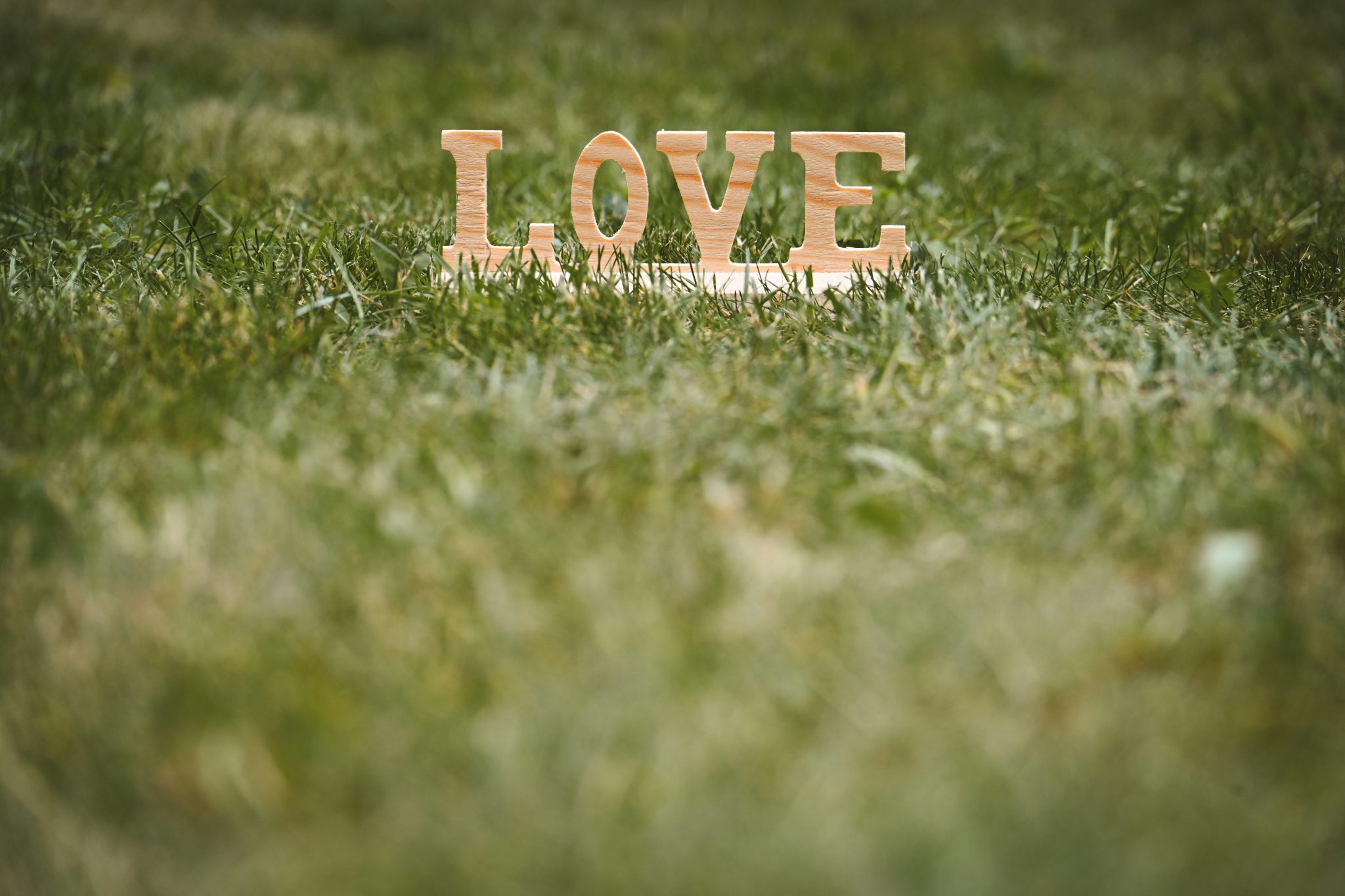 Wooden 'love' letters standing in green grass