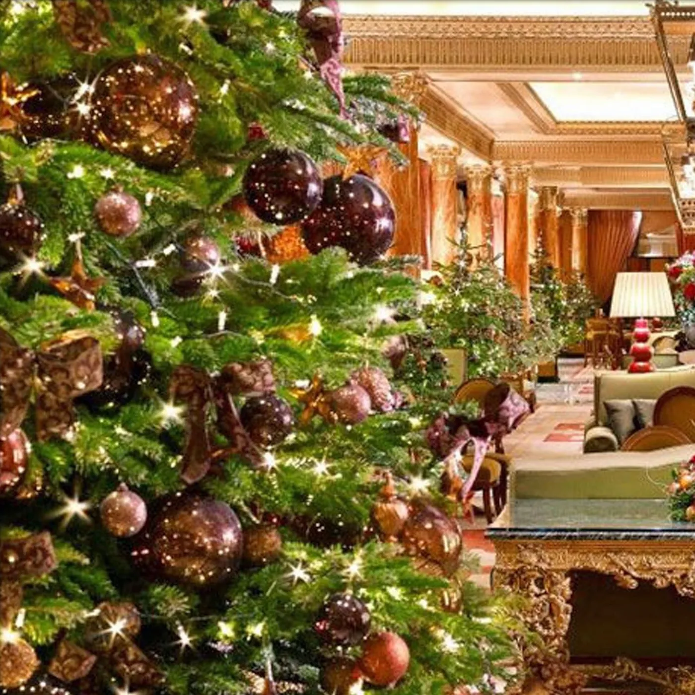 12ft Decorated Real Office Christmas tree | Office Christmas tree decorating service for London
