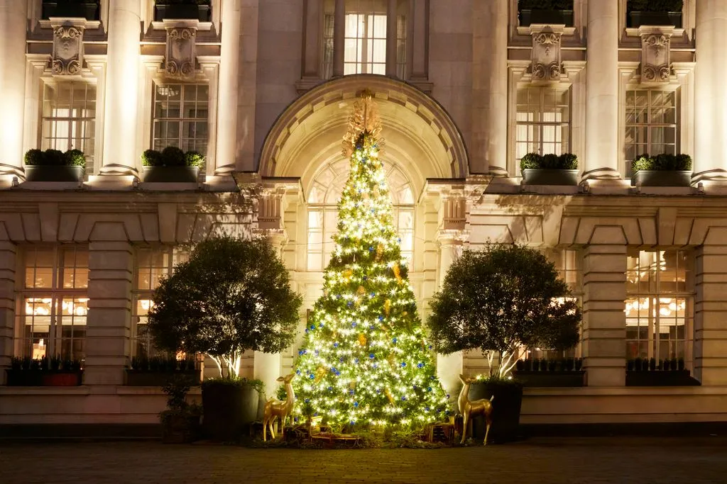 14 prettiest Christmas trees in London | CN Traveller