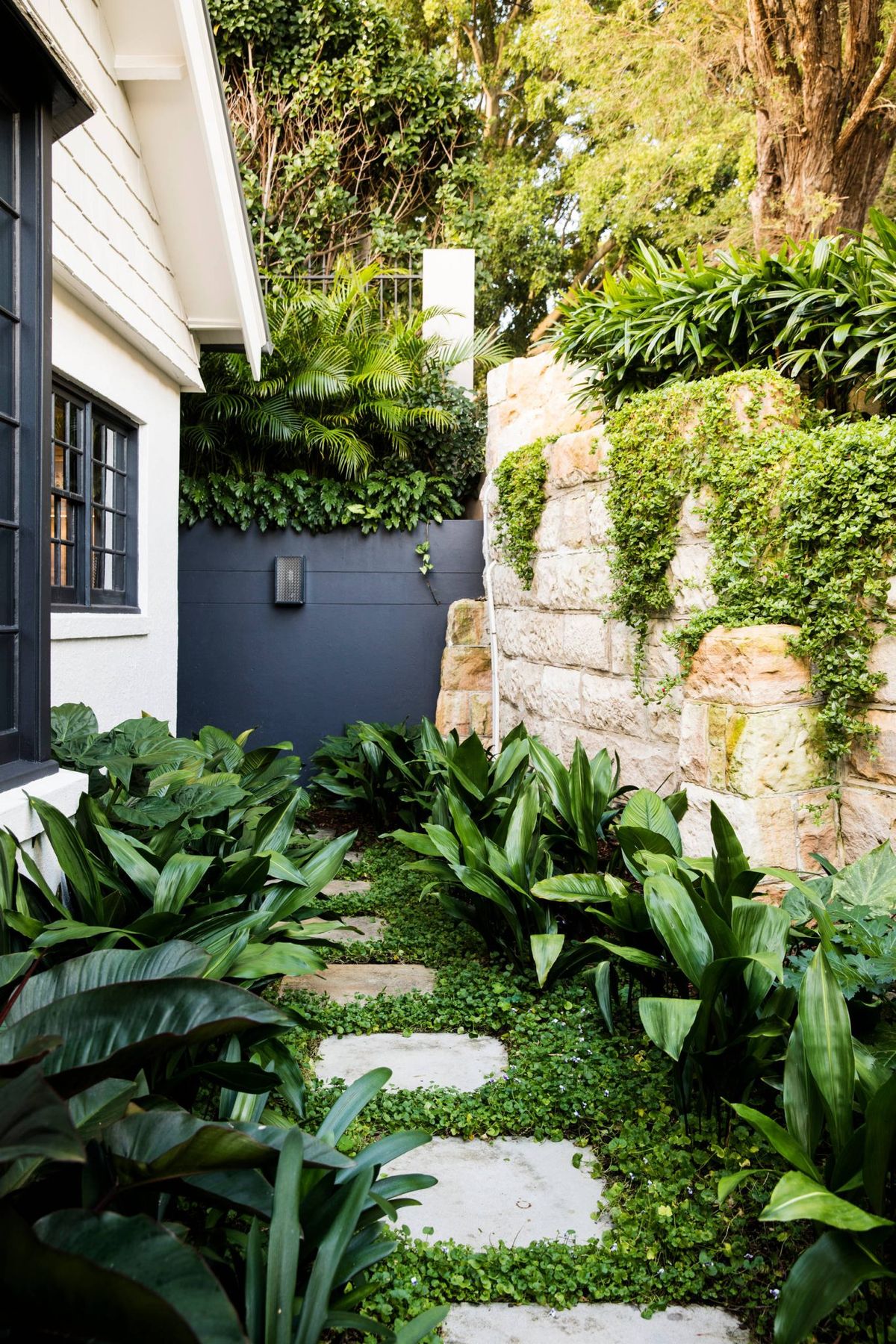 17 Narrow Side Gardens That Bring Beauty to Shady Spots | Houzz IE