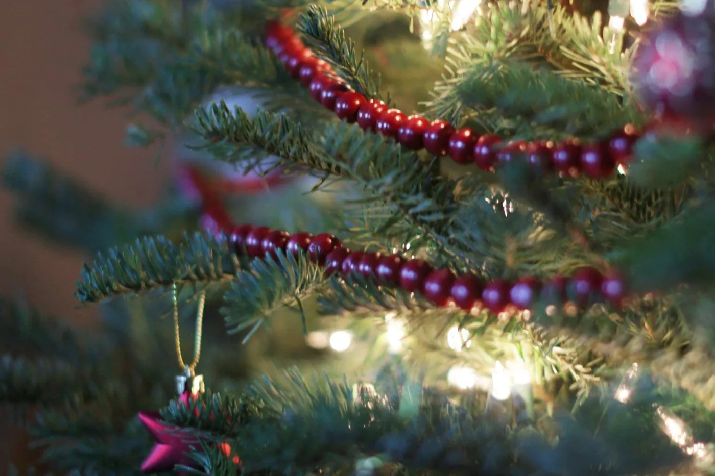 18-Foot Extra Long Rustic Cranberry Dark Red Wood Bead Garland Christm -  One Holiday Way