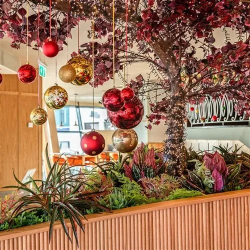 2026 Festive Lunch Sligo | December & Christmas Dining