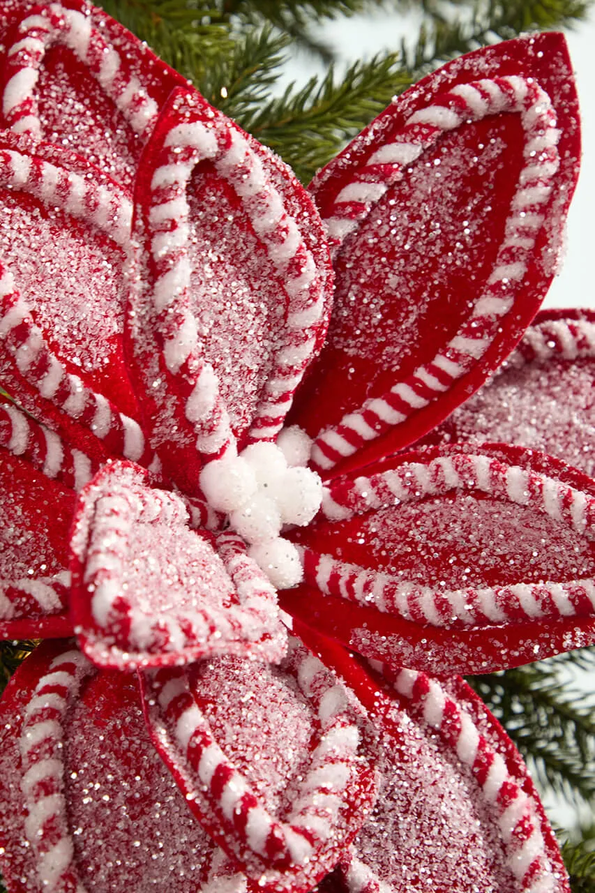 22' Red & White Sugar & Spice Poinsettia Stem