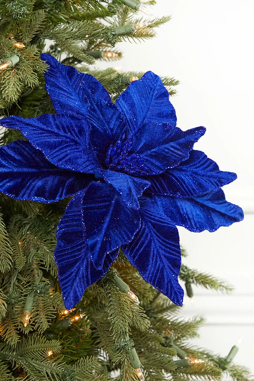 22' x 11' Royal Blue Velvet Poinsettia Stem