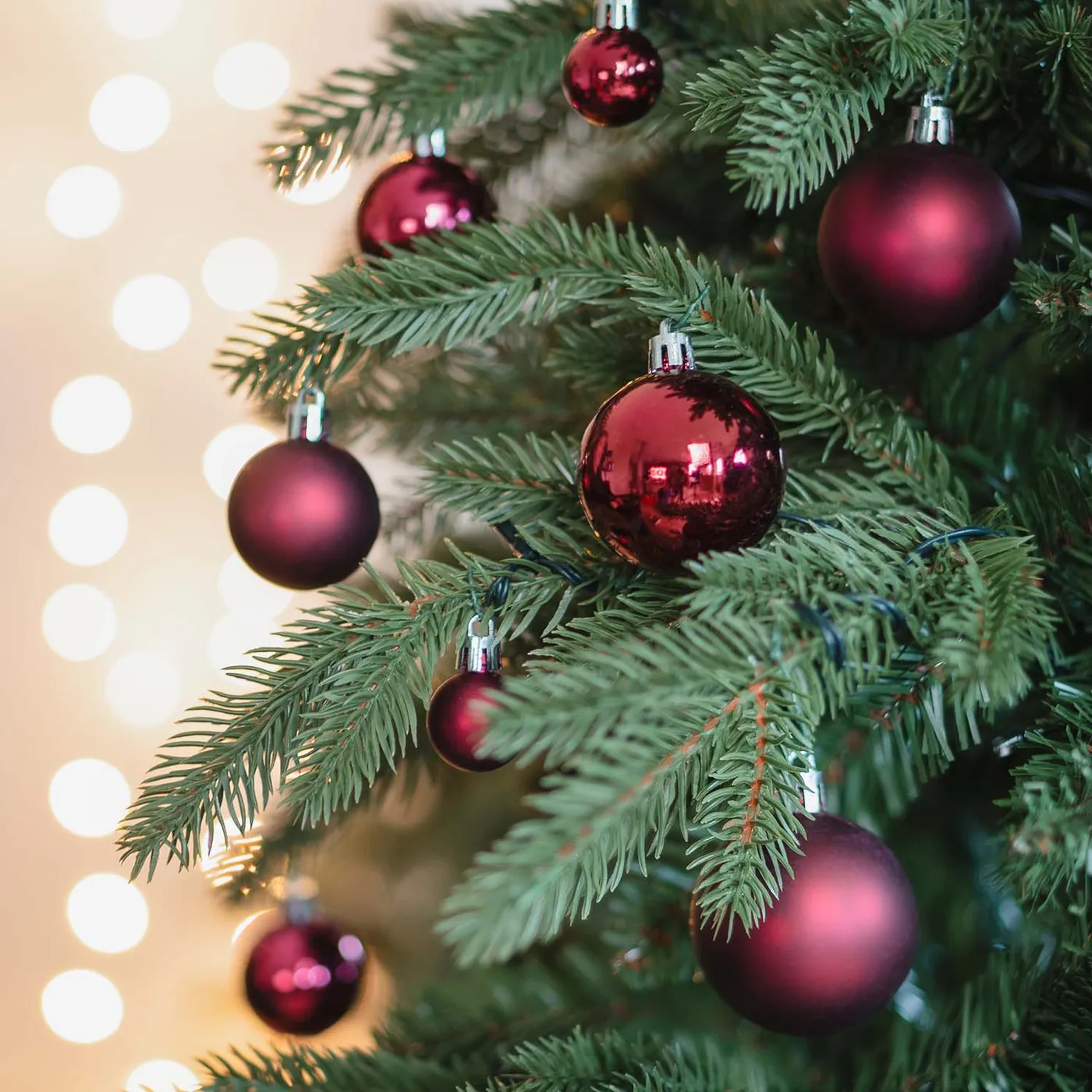 36 Pack Maroon Mini Baubles | It's all about Christmas