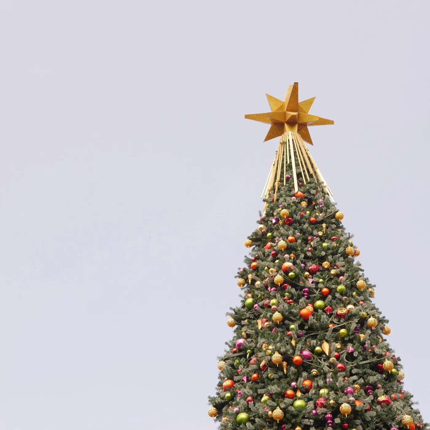 A beautifully decorated Christmas tree topped with a golden star against a clear sky.