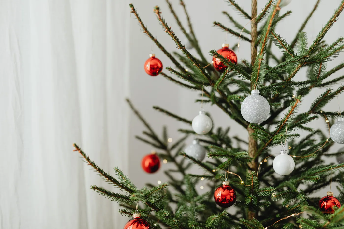 A beautifully decorated fir tree with red and white ornaments, perfect for holiday celebrations.