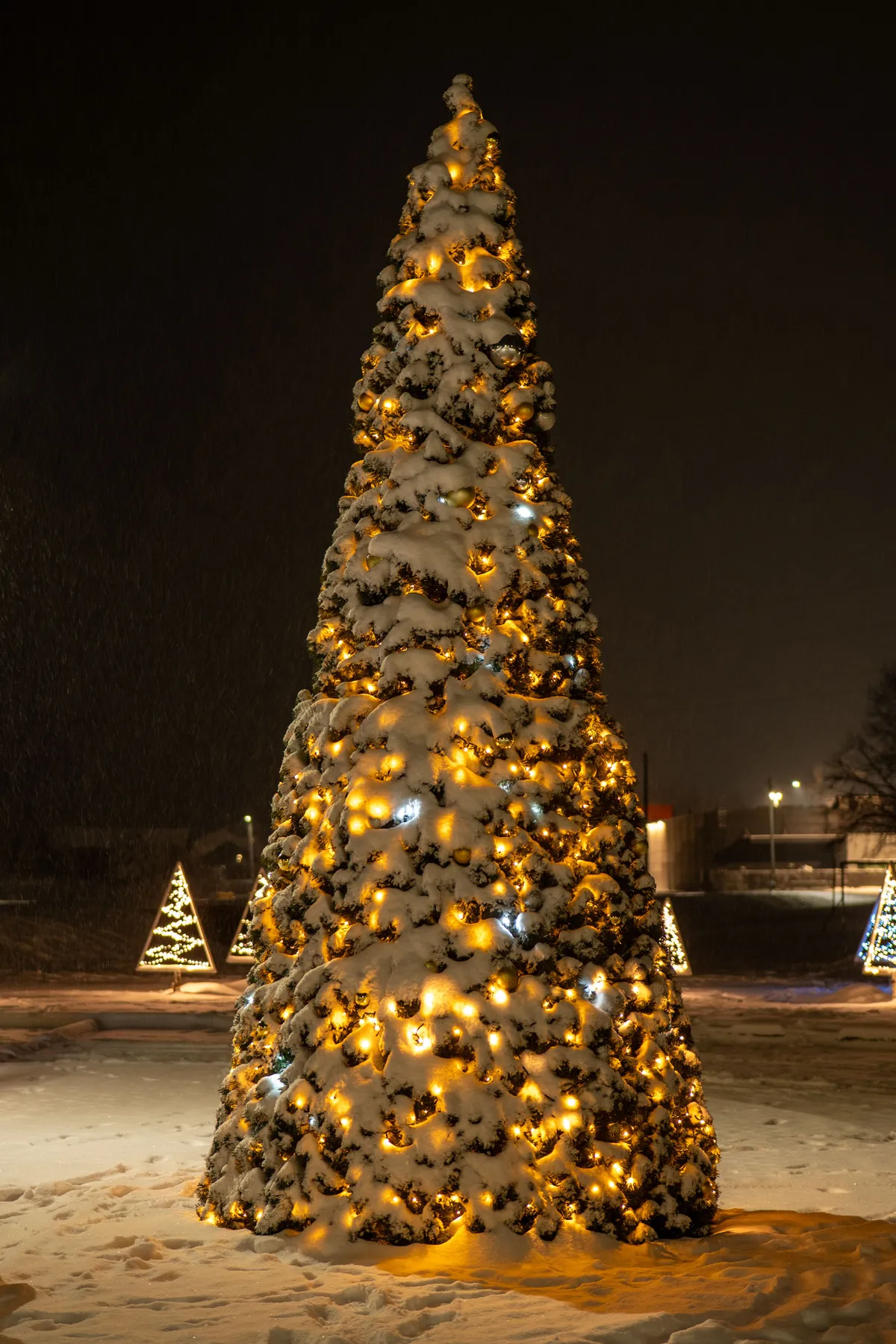 A beautifully illuminated Christmas tree covered in snow at night. Perfect holiday atmosphere.