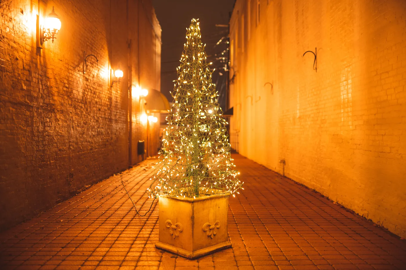 A beautifully lit Christmas tree in a quaint alleyway at night, creating a warm festive ambiance.