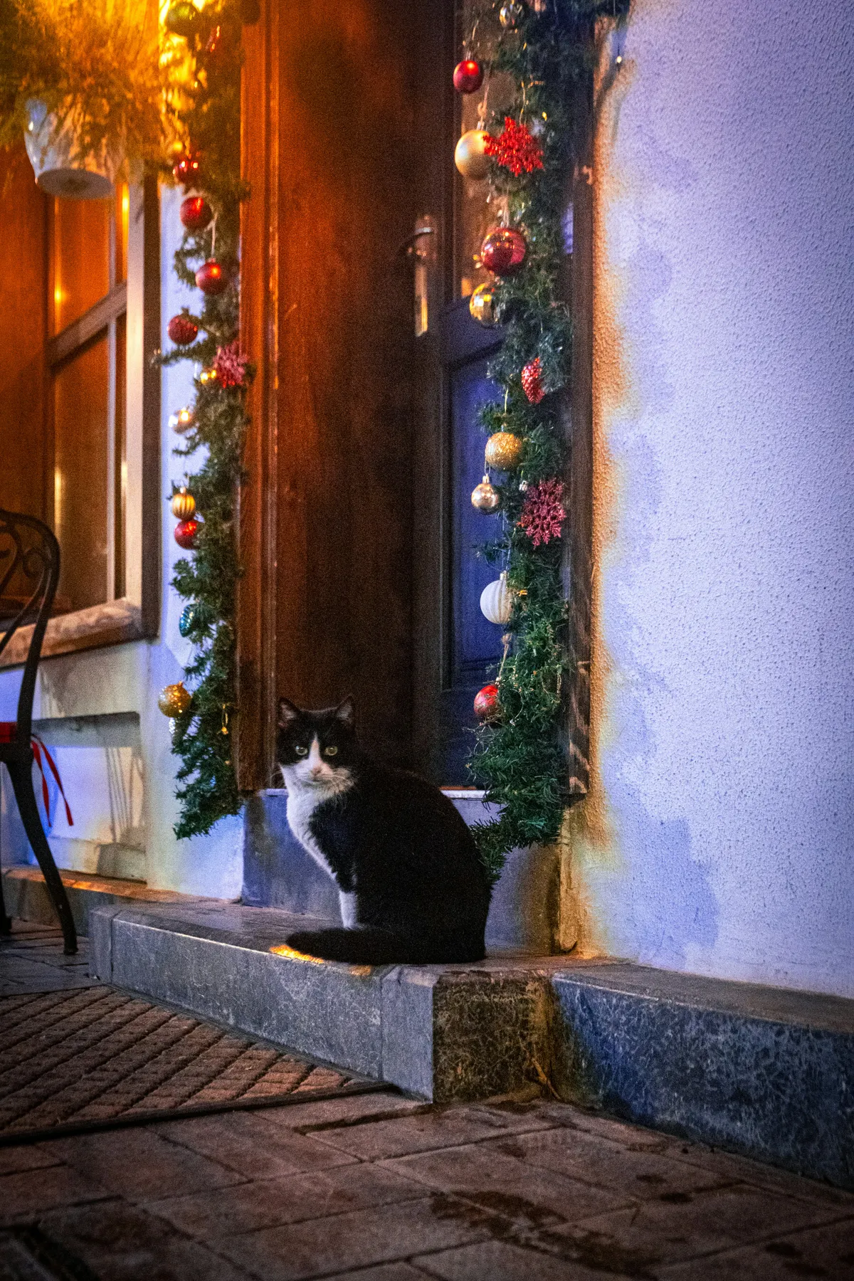 A black and white cat sits by a decorated doorway