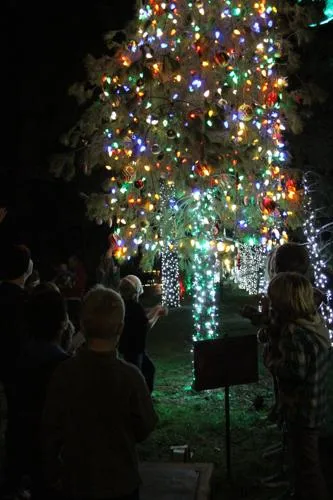 A Capo Beach Tradition Re-Lit | | picketfencemedia.com