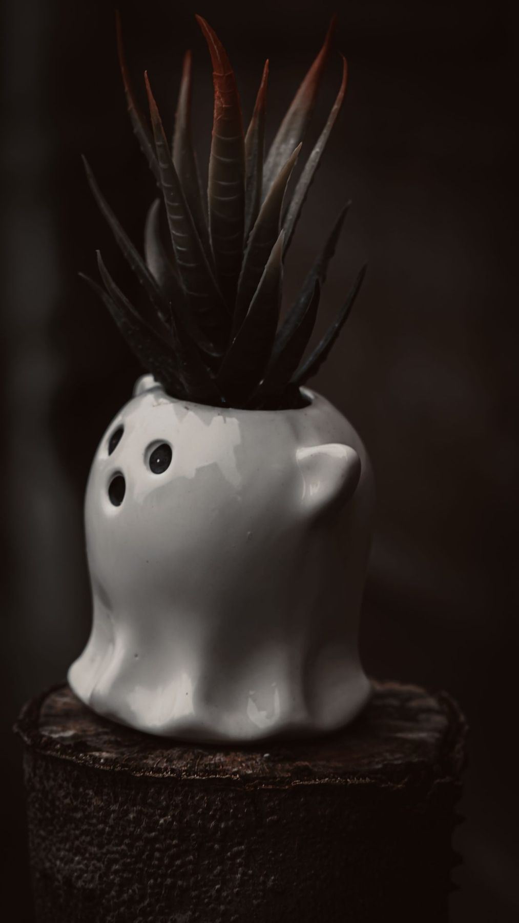 A ceramic ghost-shaped planter with a succulent captures a moody, artistic vibe.