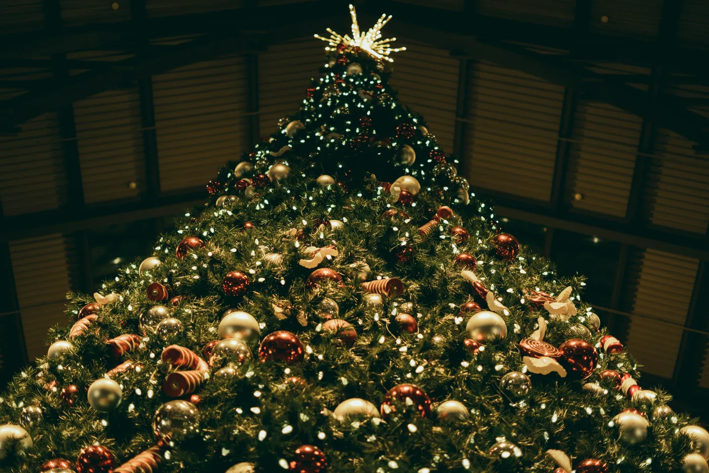 a christmas tree with ornaments and lights