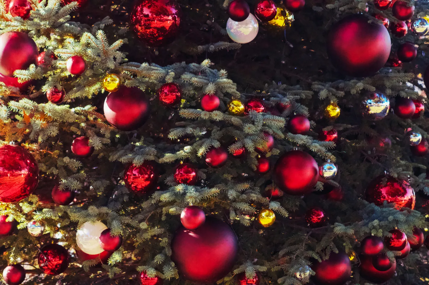 A christmas tree with red and yellow ornaments