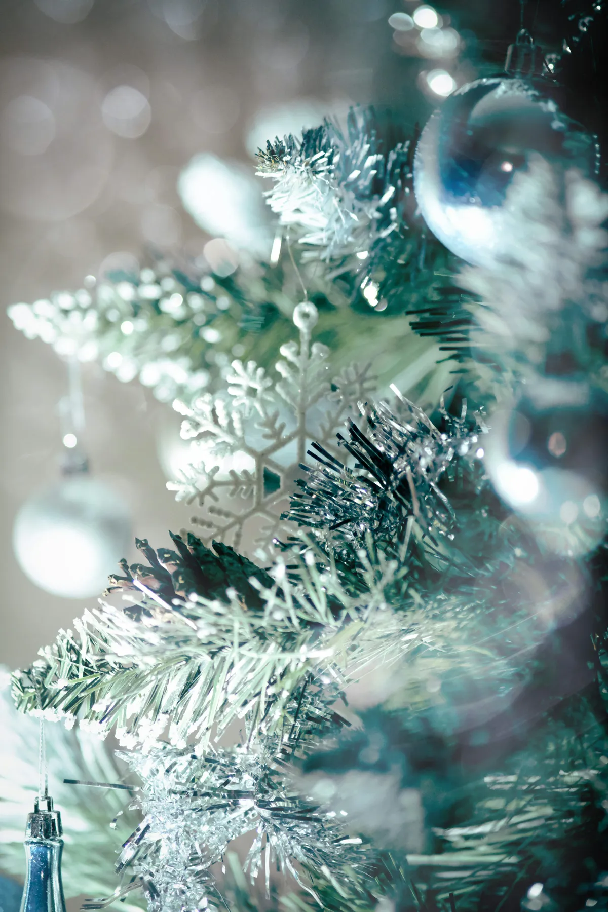 A close up of a blue christmas tree - Free Photo on Unsplash