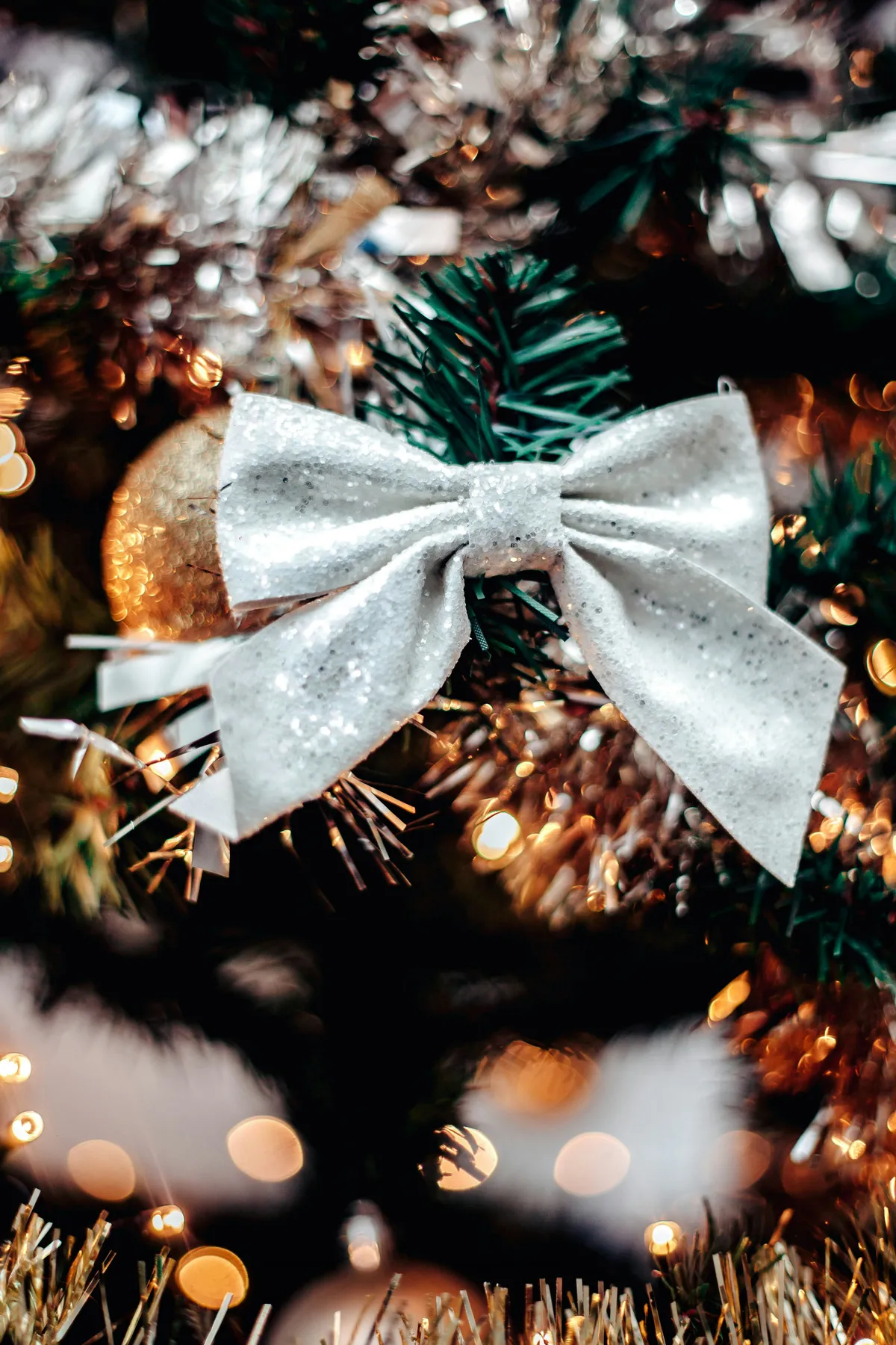 A close up of a christmas tree with a bow on it - Free Photo on Unsplash
