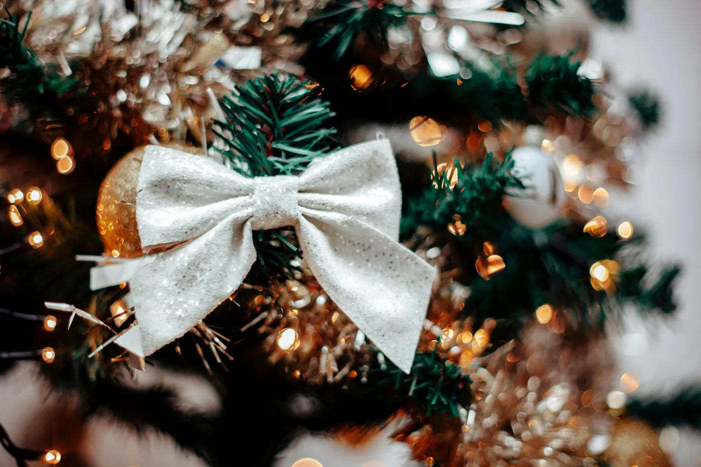A close up of a christmas tree with a white bow - Free Photo on Unsplash