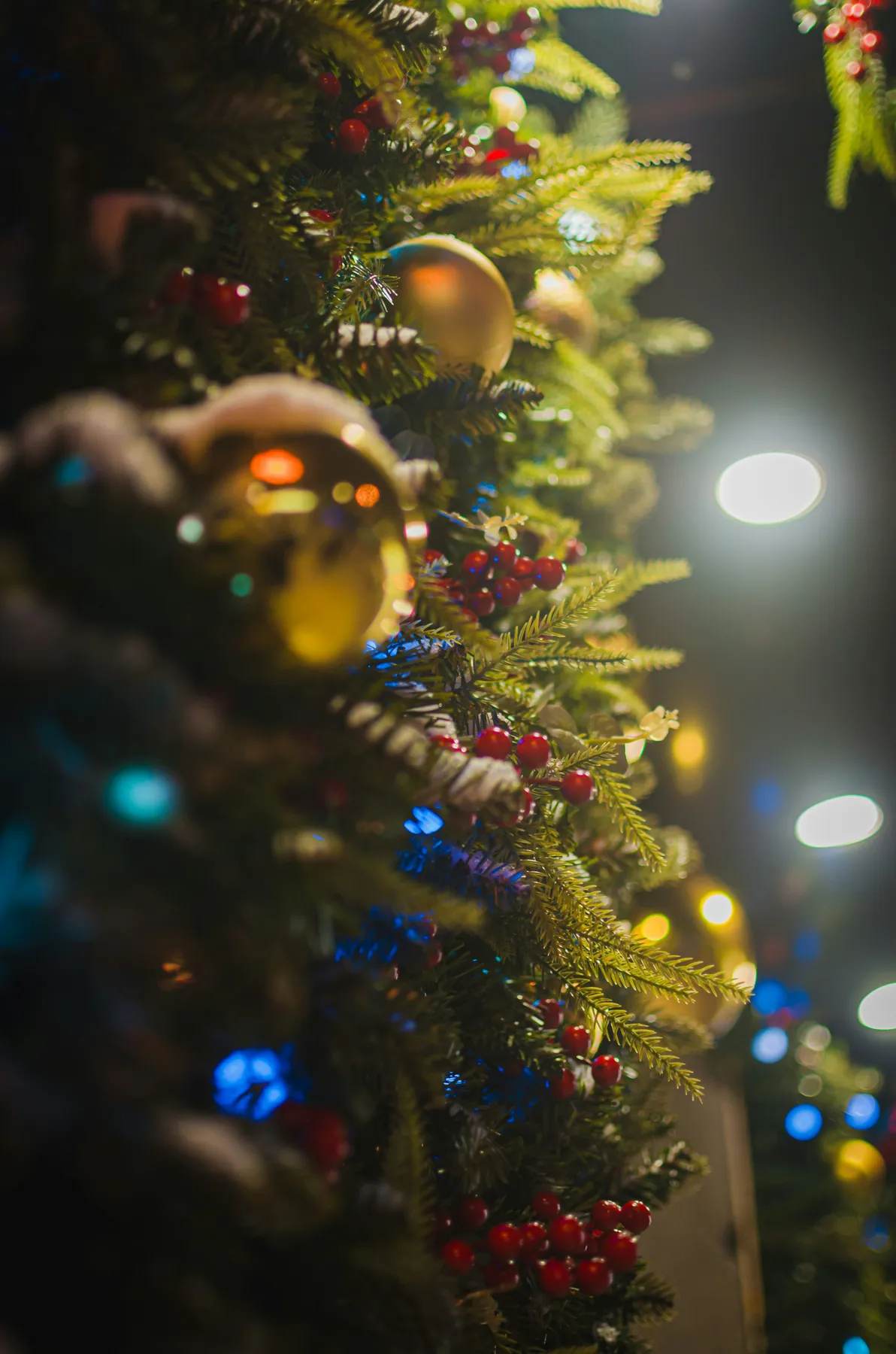 A close up of a christmas tree with lights in the background - Free Photo  on Unsplash