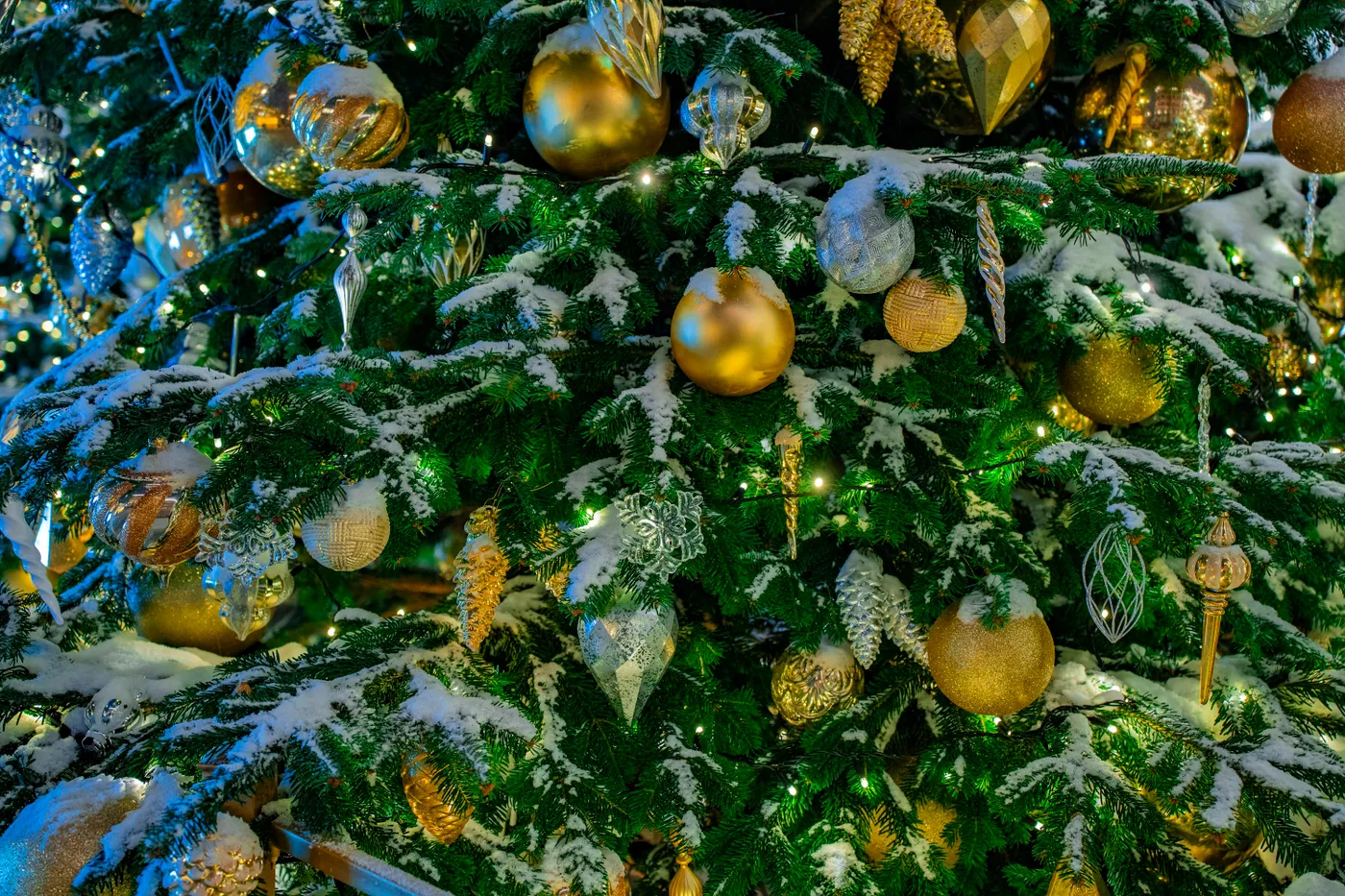 A close up of a christmas tree with ornaments - Free Photo on Unsplash