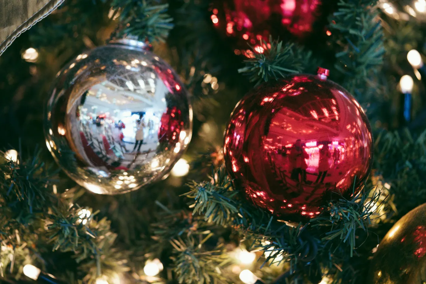 A close up of a christmas tree with ornaments - Free Photo on Unsplash