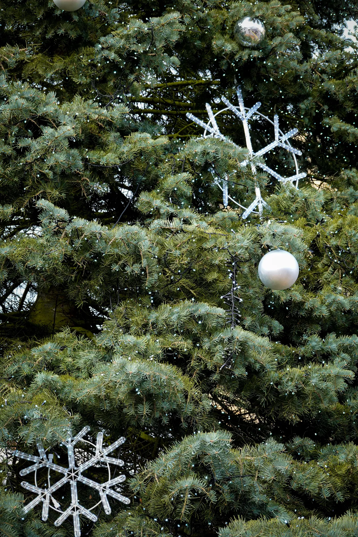 A close-up of a decorated Christmas tree with snowflakes and a silver bauble among lush green branches.